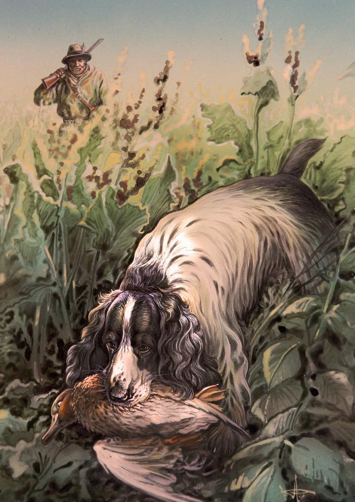 Без собаки никуда...