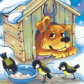 Что такое конура?