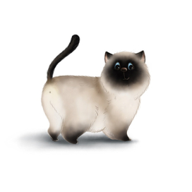 Сиамская кошка