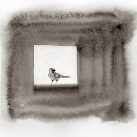 К стихотворению 3