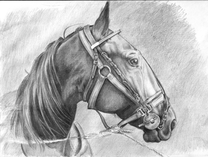 Красавец Заказник (так зовут)