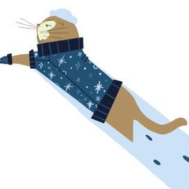 История одного кота.  