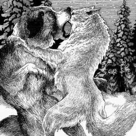 Схватка со Шпицем