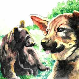 Бродяги севера