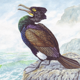 Для кого привычка ходить пешком оказалась не только дурной, но и пагубной...