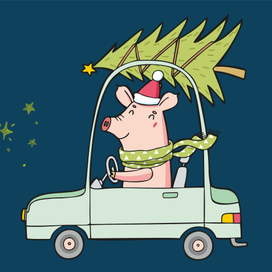 Иллюстрации для календаря 2019