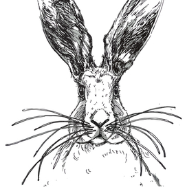 Крольчишка