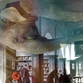 	 «Воображариум»