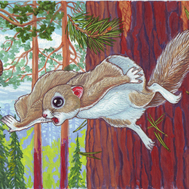 Пока ещё трудно назвать полётом