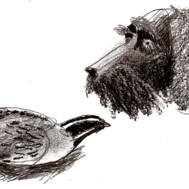 Книга о дратхаарах