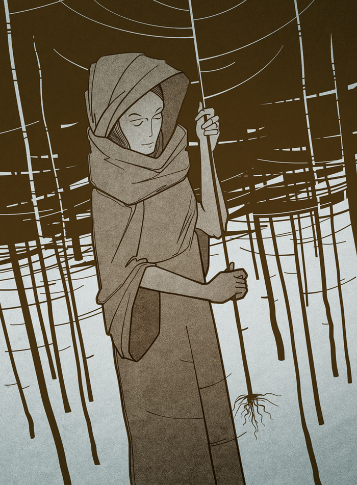 без названия