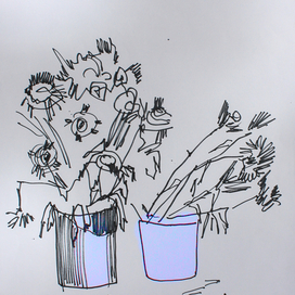 ведра с цветами