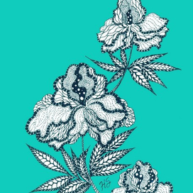 Стилизованные пионы