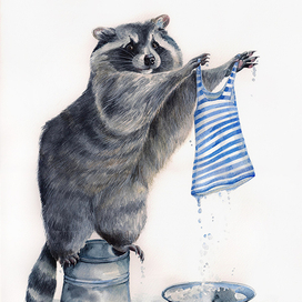 Енот стирает тельняшку