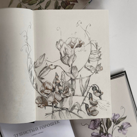 Лесная зарисовка