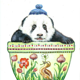 милая панда