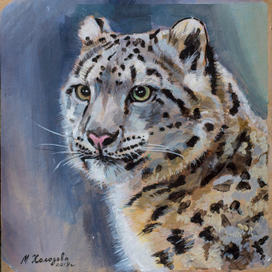 Снежный барс