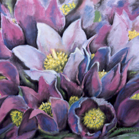 Подснежники