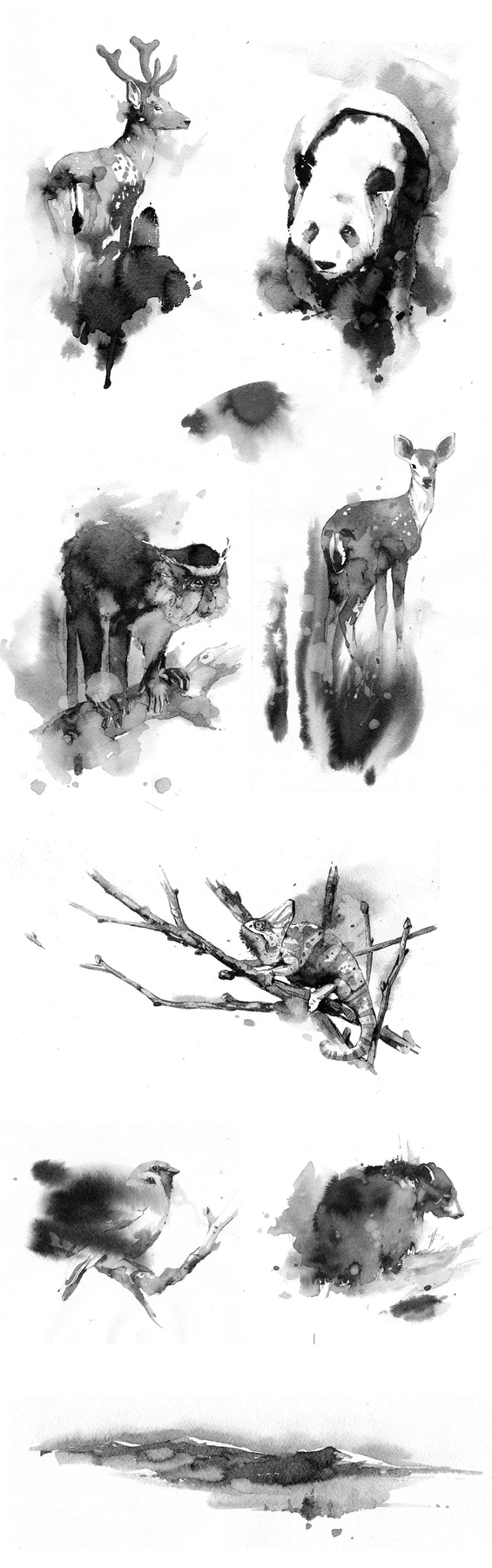 Иллюстрации для ресторана восточной кухни FUJIKO  (часть 1)