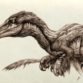 Austroraptor