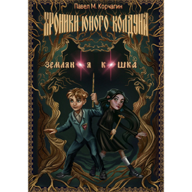 Обложка Хроник юного колдуна