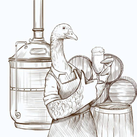 гусь пивовар