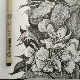 Яблоневый цвет