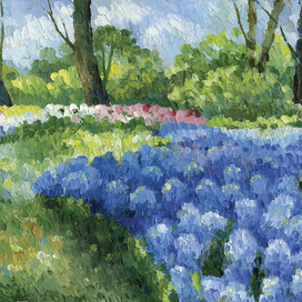 Голубые гиацинты