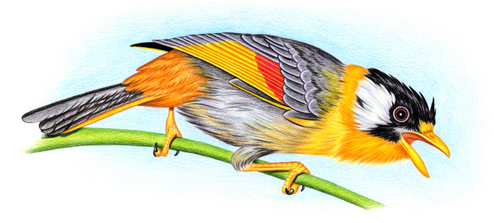 серебристая месия