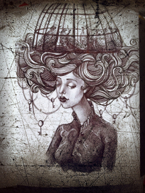 Книга забытых сноведений (птичьи клетки)