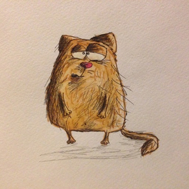 Лохматый кот