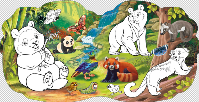 Гималаи, Азия