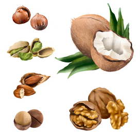 small collection of nuts for true gourmets 