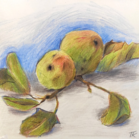 Яблочный натюрморт