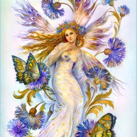 Васильковая фея