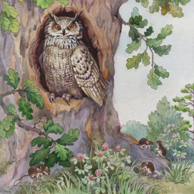 "Сова" В. Бианки