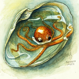 Осьминожка