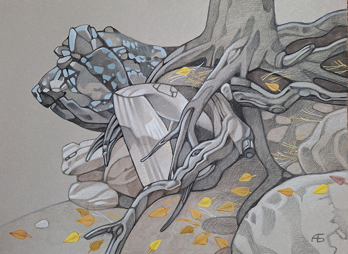 Камни и корни