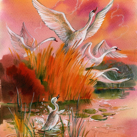 Гадкий утёнок