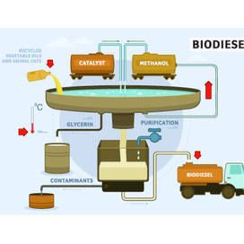 I2BF / illustrations