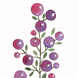 Watercolor Berry