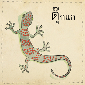 Геккон Токи