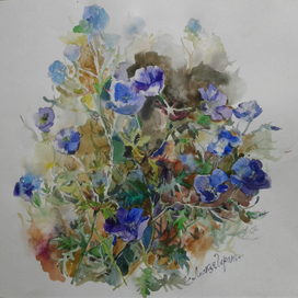 Лесная герань