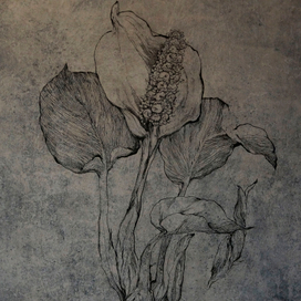 оформление офиса "AVITO"