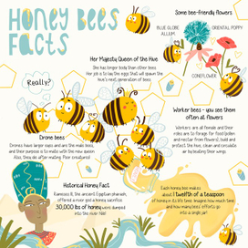 Нон-фикшн страничка о пчелах