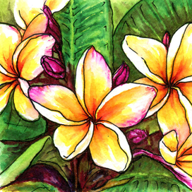 Иллюстрация Тропический цветок