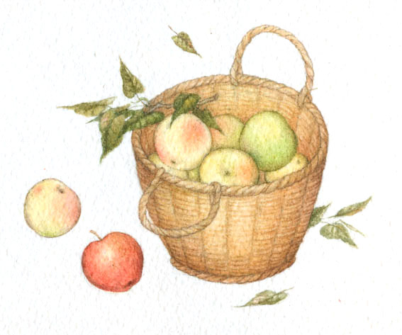 Корзина яблок.