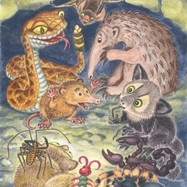 Страшилки на ночь.