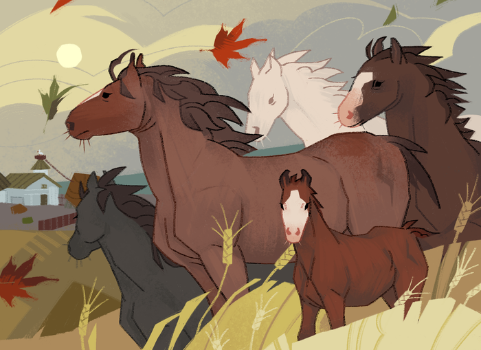 Осеннее поле