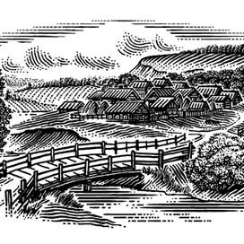 Сельские виды